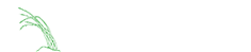 Cynthia Gillis Garden Design